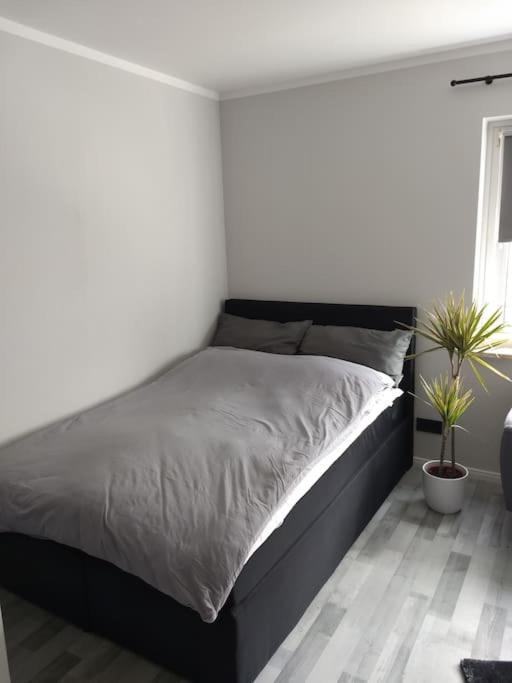 Apartment In Μπρέμερχαφεν Εξωτερικό φωτογραφία
